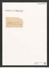 Pleurosigma sp. (de-Toni-Nr.: Genus 13) Zeichnungen Sammlung Grunow (NHMW-BOT-W0369255)